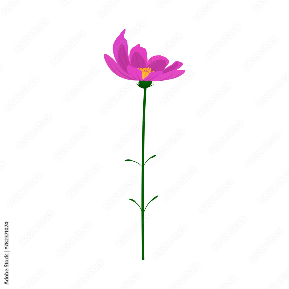 Meadow Flower Meadow Flower