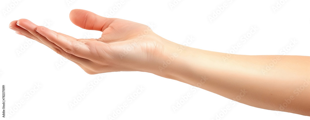 hand isolated on white hand isolated on white