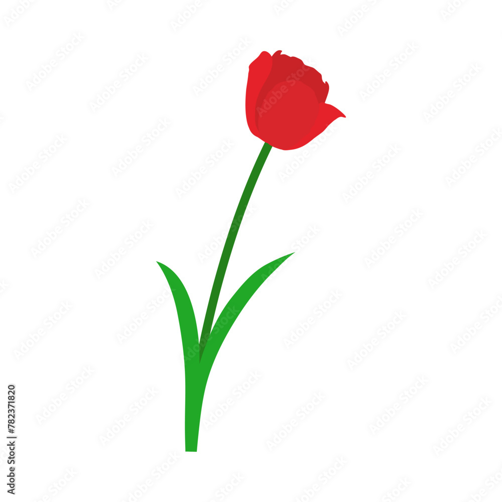 Spring Tulip Element Spring Tulip Element