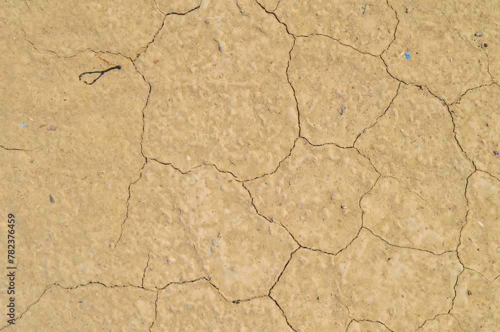 Fototapeta premium soil cracking rough earth background, surface dryness summer
