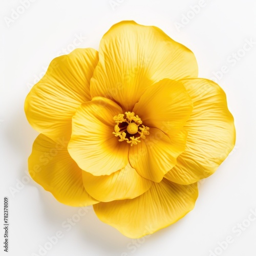 Captivating Yellow Flower in Minimalist Setting Generative AI