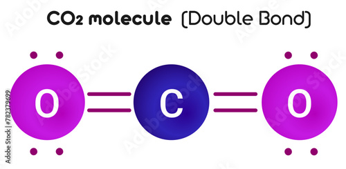 CO2 molecule: Double covalent bonds are much stronger than a single bond, but they are less stable.