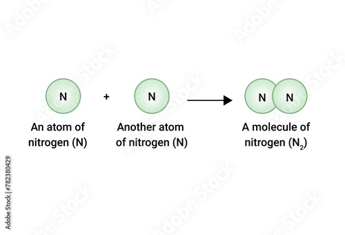 A molecule of nitrogen (N2)