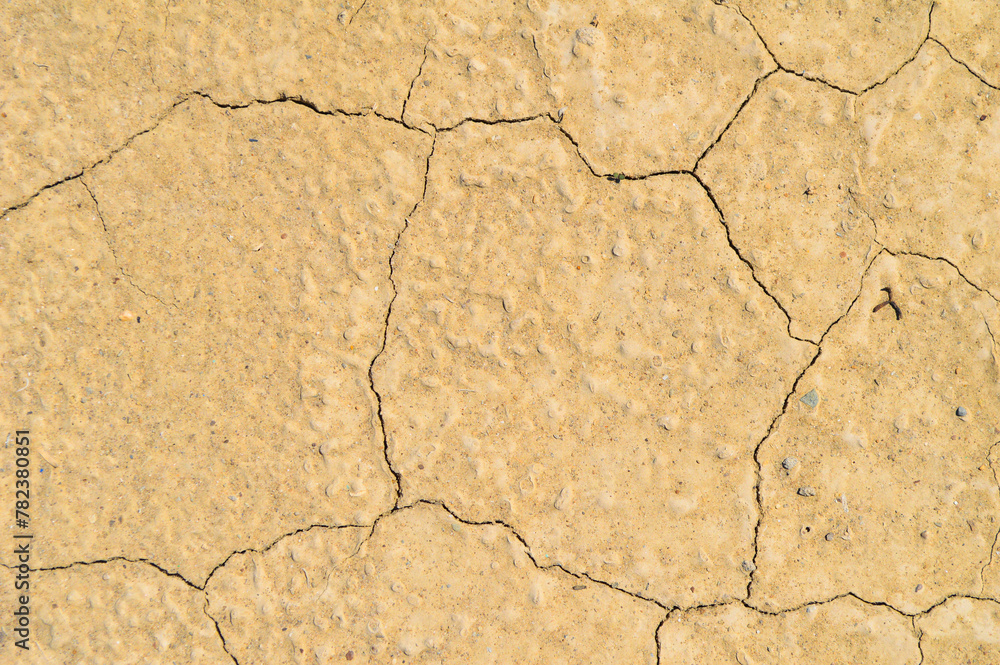 Fototapeta premium close up of cracked earth texture background