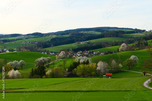 Landschaftsidyll Bucklige Welt photo