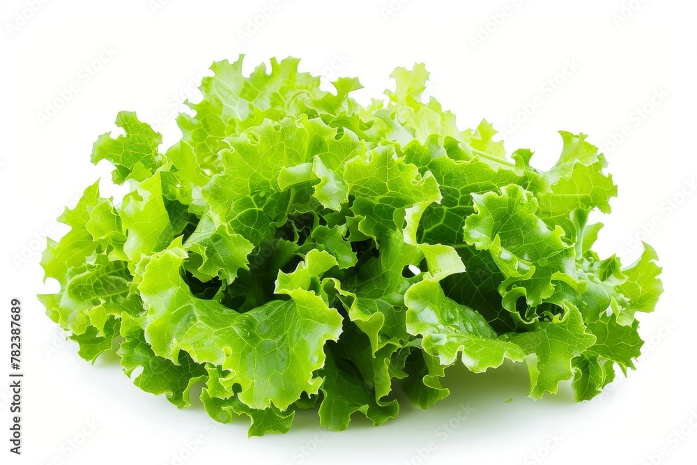 Lettuce on white background with text Lettuce on white background with text