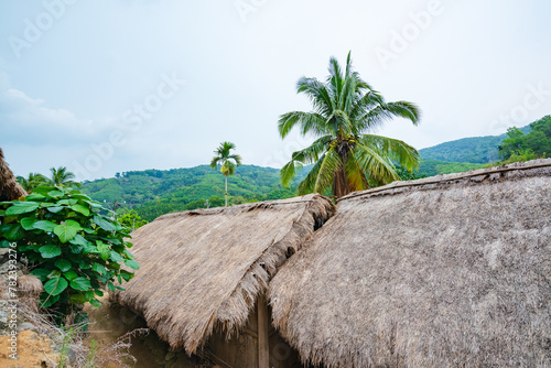 Original village thatched house in Chubao Village, Wuzhishan City, Hainan, China photo