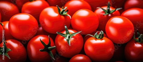 Close-up of vibrant red tom...
