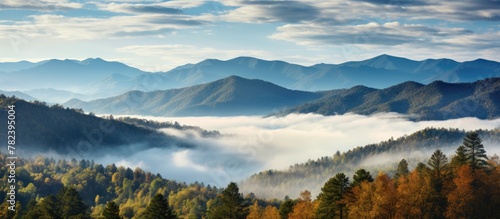 Autumn foliage on Smoky Mou...