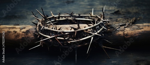 Jesus wears crown thorns an...
