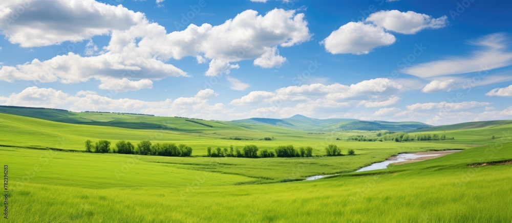 Green field river landscape