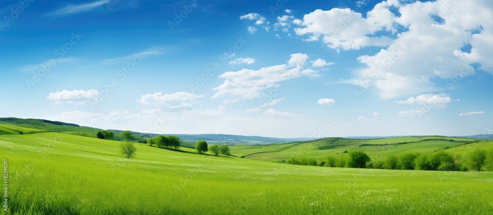 Green field with trees and clouds