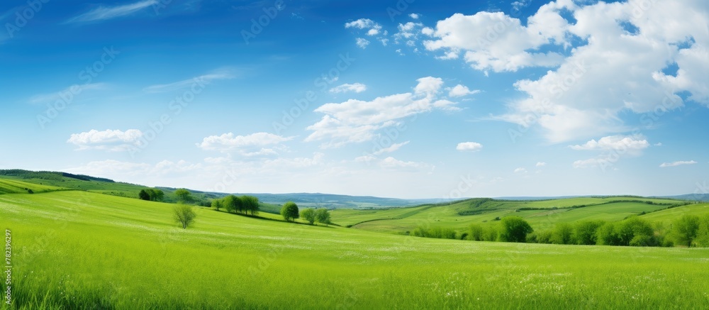 Green field with trees and clouds Green field with trees and clouds
