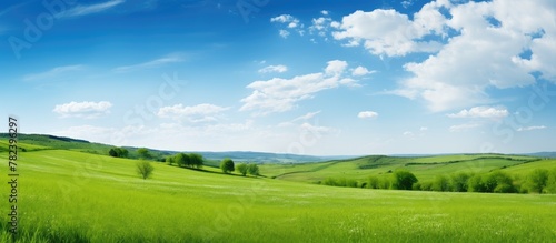 Green field with trees and clouds