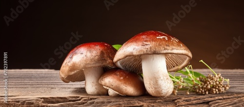 Three mushrooms resting on ...