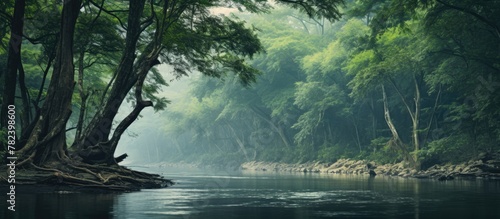 A river flows among lush gr...