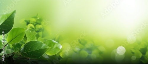 Green plant with fresh dew,...