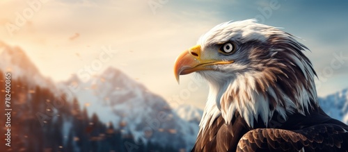 Bald eagle majestic in fron...
