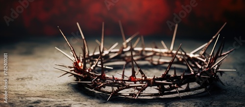 Crown of Thorns Close-up on...