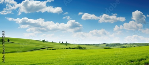 Rural landscape with lush grass under a clear sky