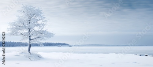 Winter solitude in Michigan...