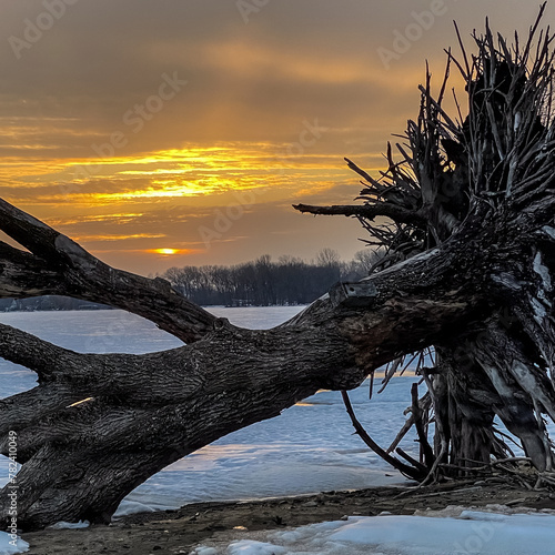 Colorful Sunset Over Frozen Lake with Dead Tree