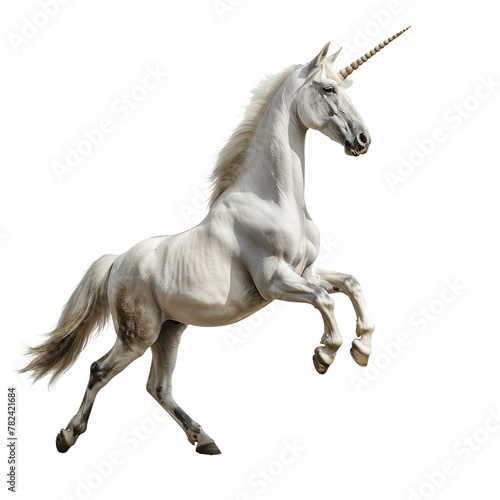 A unicorn rearing up on white background png