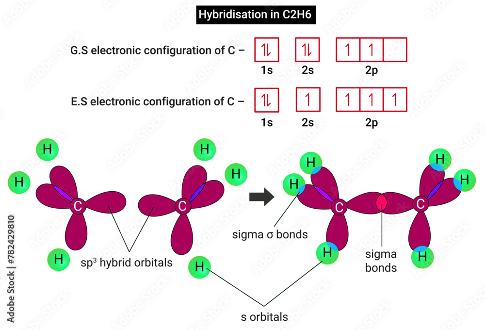 Hybridization of Ethane (C2H6): Hybridization of Carbon in C2H6 - obrazy, fototapety, plakaty 