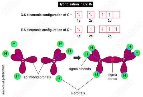 Hybridization of Ethane (C2H6): Hybridization of Carbon in C2H6