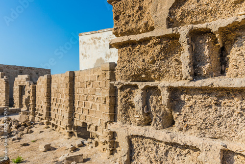 Background of coral from a local reef and dried on the beach. Ras Al Khaimah, UAE.  Selective focus