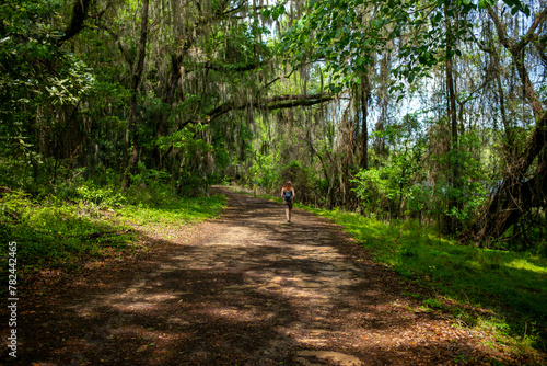 hike path in the forest