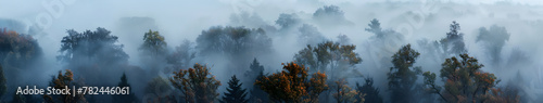Aerial view of a mystical foggy forest, misty morning with scenic nature view photo