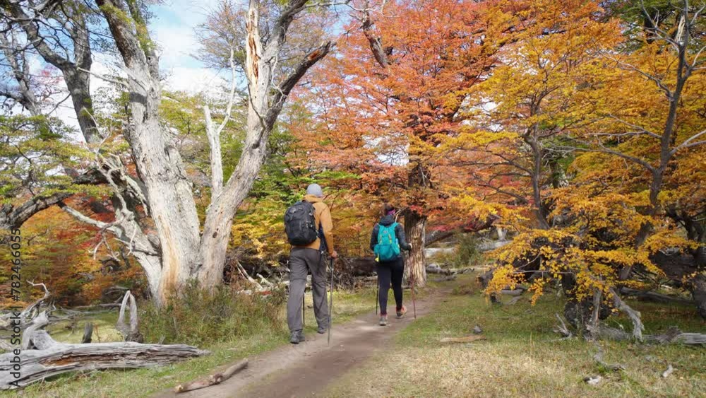 Young couple walking through fall or winter countryside using hiking poles - shot in slow motion
Young couple walking through fall or winter countryside using hiking poles - shot in slow motion