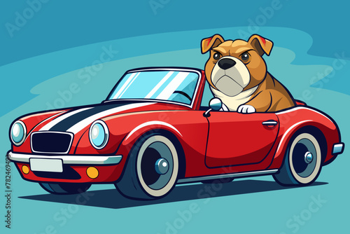 A cool bully dog driving on super car