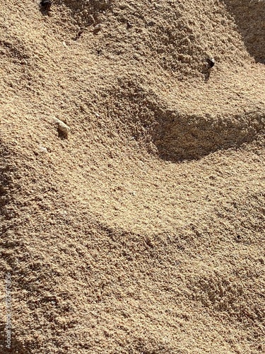 sand texture photo