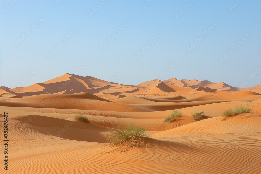 Desert landscape with sand dunes 