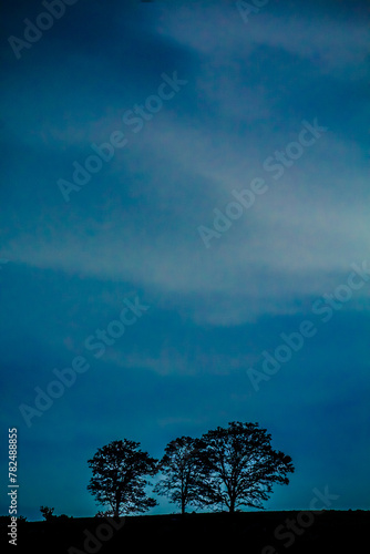 Lonely tree at night with clouds in arches of the site in Tepotzotlan