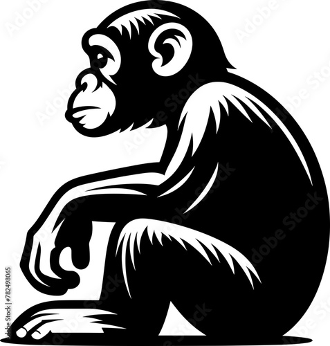 Chimpanzee