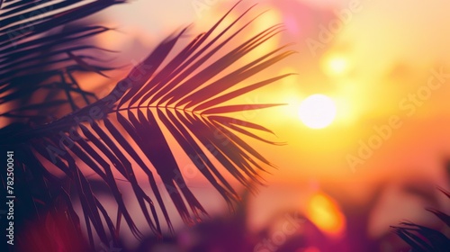 A close up of a palm tree with the sun setting in front. AI.