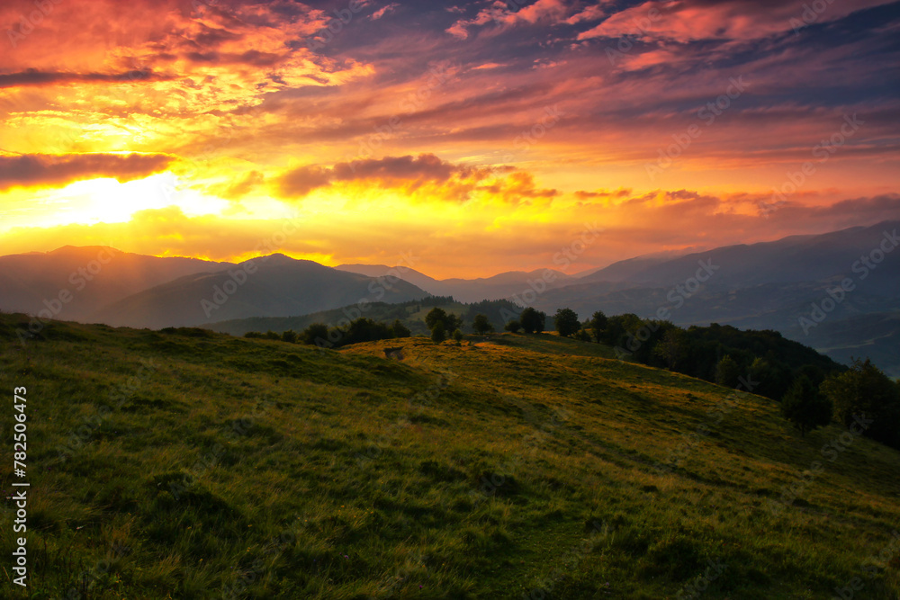 Carpathian mountains, Ukraine, Europe, amazing panoramic summer scenery