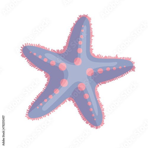Colorful sea animal, sea star.Vector graphics.