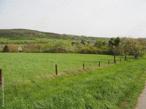 Naturschutzgebiet - Hangflächen bei Gräfinthal photo