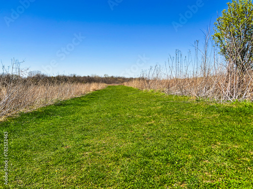 Wide open outdoor space with a lush green grassy path running through a flat field. Clear blue skies overhead. Captured at springtime.