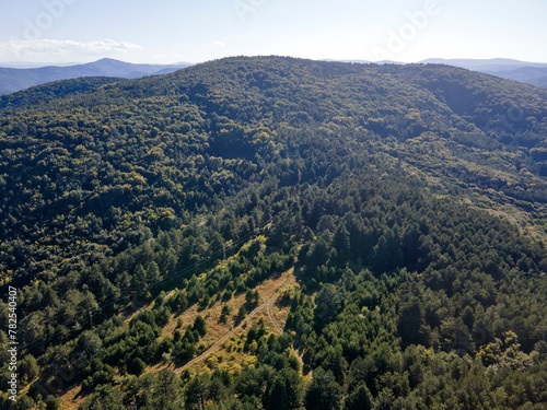 Fototapeta Naklejka Na Ścianę i Meble -  Aerial view of Rhodopes Mountain, Bulgaria