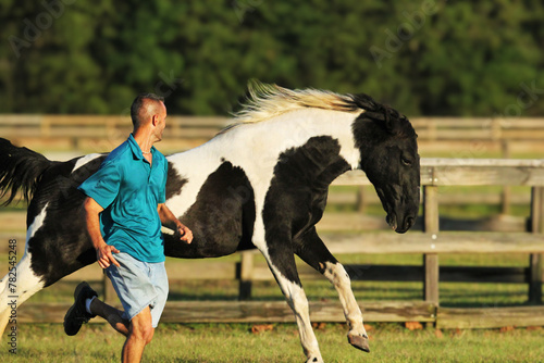 Man Running with Tennessee Walker Horse photo