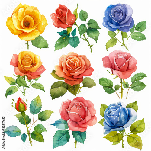 A collection of watercolor roses in rich colors and detailed brushwork, highlighting different hues. © khonkangrua