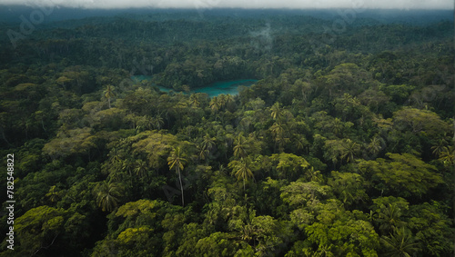 Beautiful Jungles of Vanuatu 