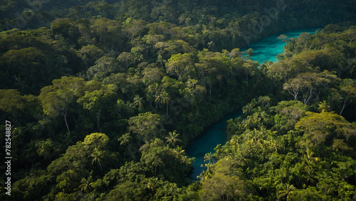 Beautiful Jungles of Vanuatu 
