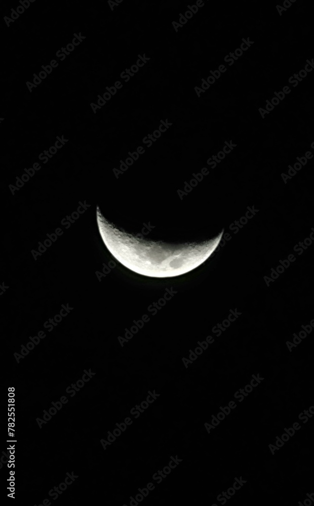 Naklejka premium Fase de la luna