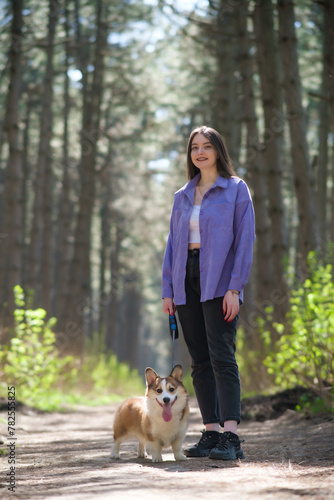 Beautiful girl in a purple shirt walks with a Pembroke Welsh Corgi puppy on a sunny day in the forest. The dog stands next to its owner. Happy little dog